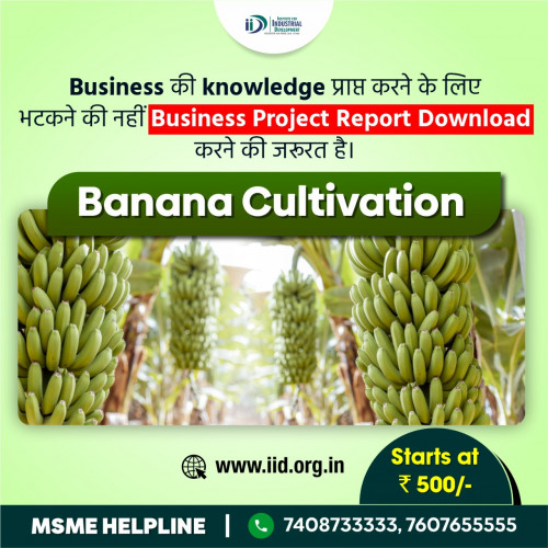 Banana-Cultivation.jpg