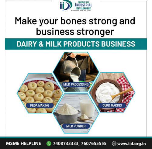 Dairy & Milk Product Business