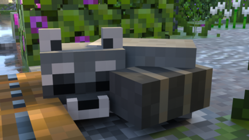 minecraft-raccoons-texture-pack_4.png