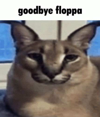 goodbye-floppa.gif
