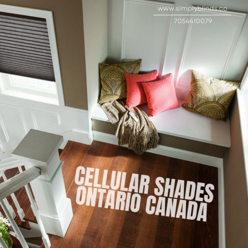 Source: https://www.simplyblinds.co/cellular-shades-blinds
