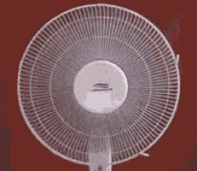 electric fan wind