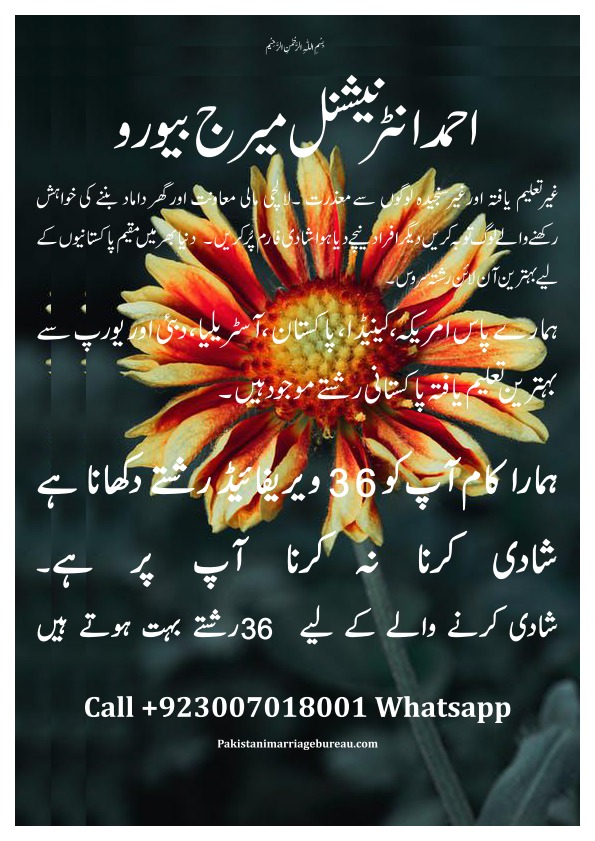 Pakistani-Marriage-Bureau-Matchmaker-Rishta-Shaadi-Service-16.jpg