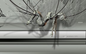 2490_robot_makro_zhenshhina_www.Gde-Fon.com.jpg