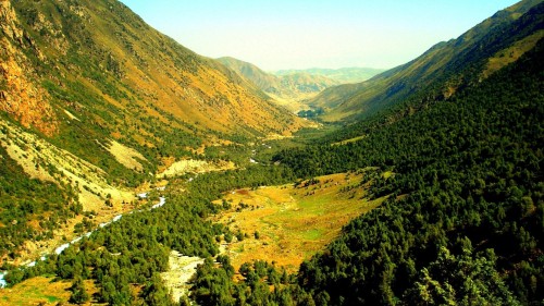 mountains-landscapes-nature-forest-valley-1920x1080-8.jpg