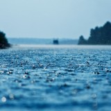 24_background_ID