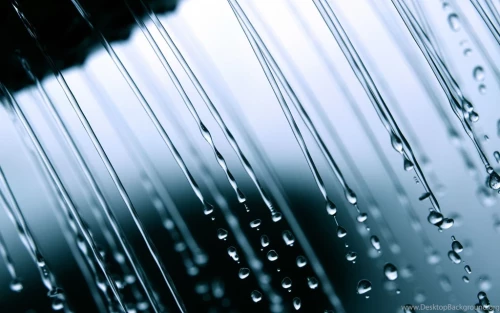 47_background_ID.webp