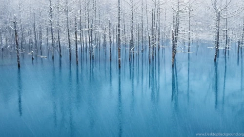 54_background_ID.webp