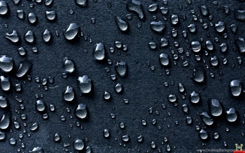 66_background_ID.webp