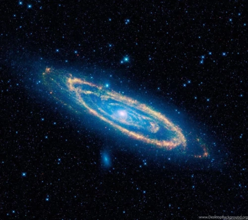 77_background_ID.webp
