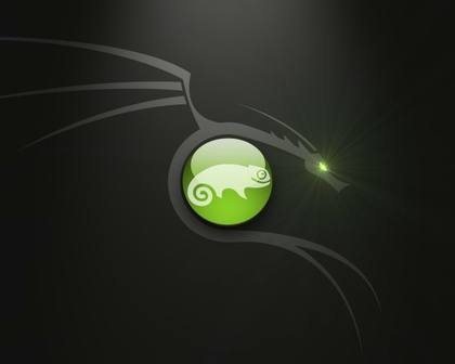 SS-10-POWER.jpg