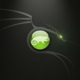 SS-10-POWER