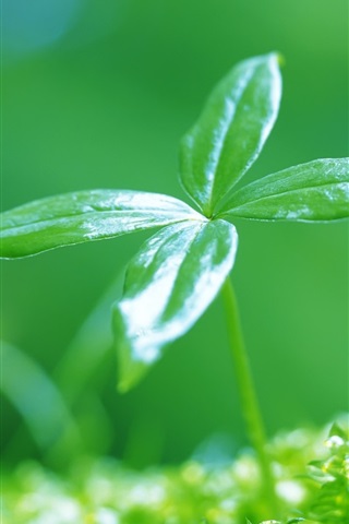 SS-52-POWERc9c7f4b1cb5230d7.jpg