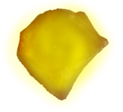 The-heart-of-ellamonte-dimont-yahkinwater.png