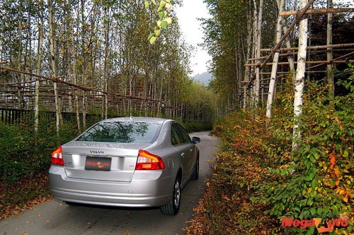 45320_16_img.jpg
