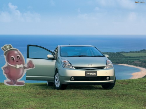 toyota_prius_2003_pictures_2.jpg