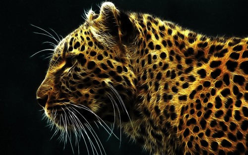 wallpaper2you_33ae67149e6d5d552.jpg