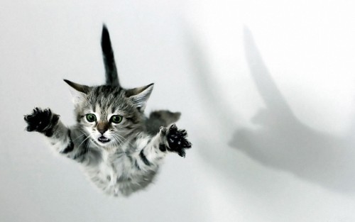 wallpaper2you_47de2698003dd1dbd.jpg