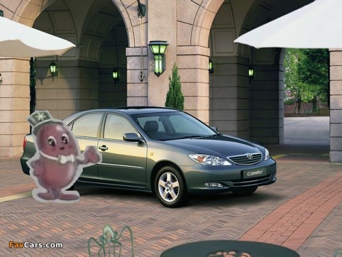 toyota_camry_2001_photos_2.jpg