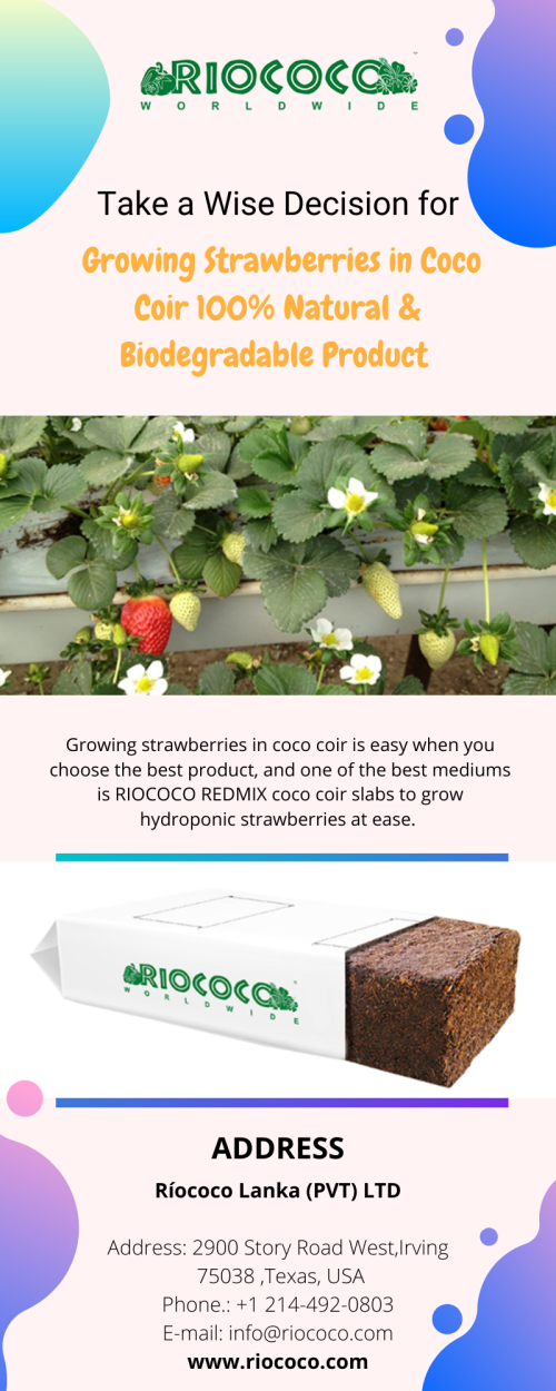 Take-a-Wise-Decision-for-Growing-Strawberries-in-Coco-Coir-100-Natural--Biodegradable-Product.png