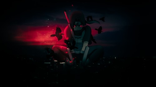 d.jpg