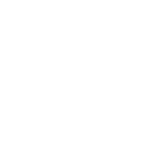 Cineraria
