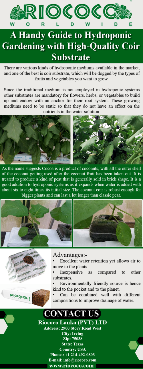 A-Handy-Guide-to-Hydroponic-Gardening-with-High-Quality-Coir-Substrate.png