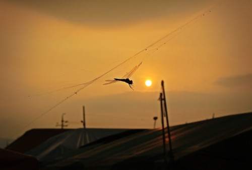 POWER-18.jpg