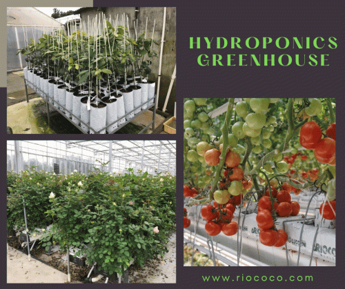 hydroponics-greenhouse.gif