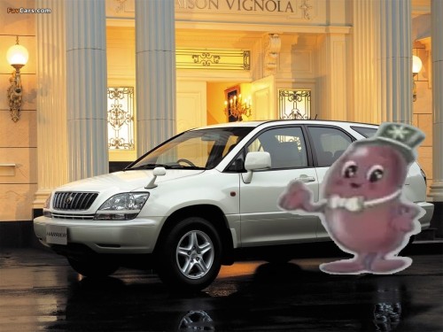 pictures_toyota_harrier_1997_1.jpg
