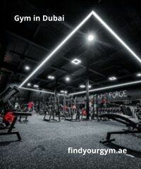 Gym-in-Dubai.jpg