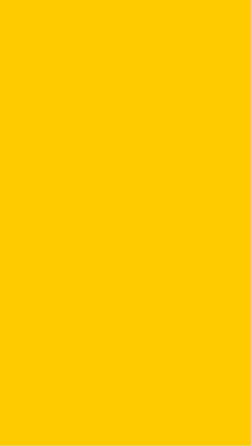 989b646973f70b9f9974a83a47656549.jpg
