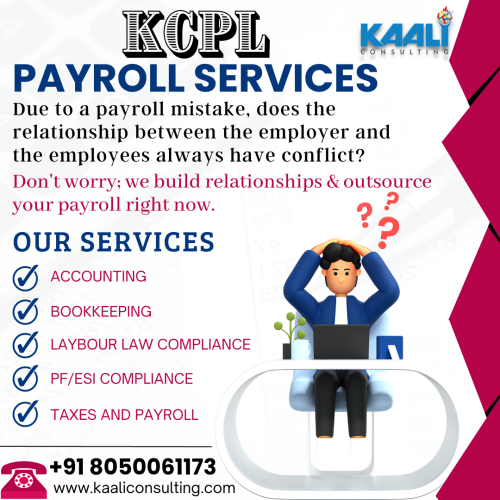 Kaali-Consulting--Payroll-services.png