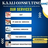 Kaali-Consulting-Services-in-chennai