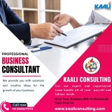 Kaali-Consulting-business-consultancy-in-chennai