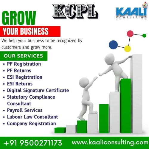 Kaaliconsulting Grow your business