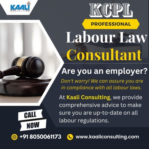 Labour Law Consultant Kaali Consulting