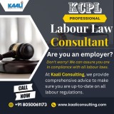 Labour-Law-Consultant---Kaali-Consulting
