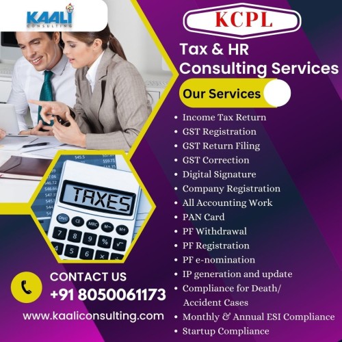 Taxconsultingservices-kaaliconsulting.jpg