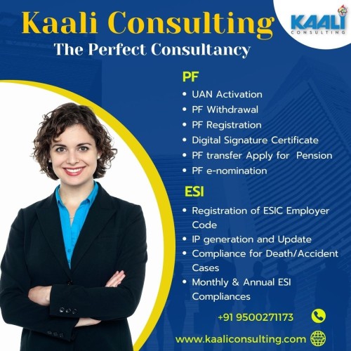 kaali consulting accounting services and business consultancy