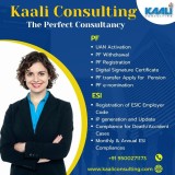 kaali-consulting-accounting-services-and-business-consultancy
