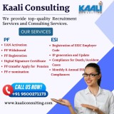 kaaliconsulting-recruitment---services