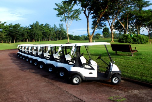 03-Lithium-Golf-Cart-Batteries-Sale.jpg