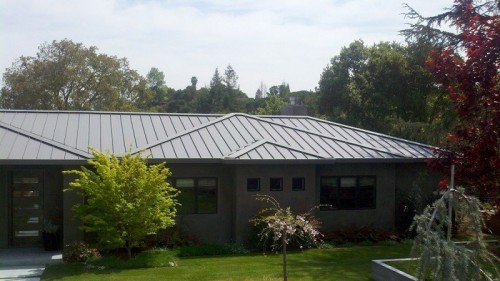 shelton-palo-2.jpg