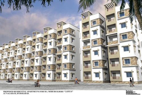 Lotus-Homes-by-Modi-Builders.jpg