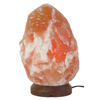 02-Purchase-the-Best-Himalayan-Salt-Lamps.jpg