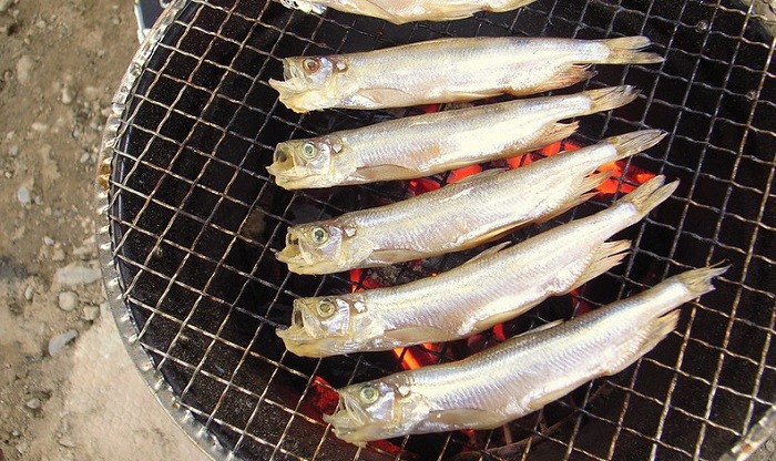 Ikan shishamo merupakan hidangan dari Jepang yang populer. Ikan ini kerap kali digunakan sebagai hidangan pembuka, lauk maupun hidangan utama. Sebab, seluruh Seluruh anggota tubuh ikan shishamo dapat dinikmati. 
Editor: Kurnia Yustiana