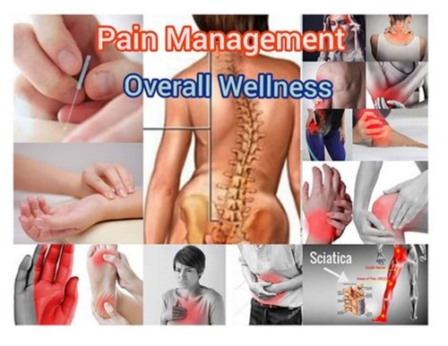 Acupuncture Adelaide is one of the best wellness clinics in Adelaide, SA. Our expertise includes full-body pain management and overall wellness.

More info: https://adelaideacupuncture.com.au