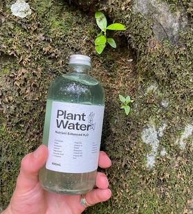 plantwater.jpg
