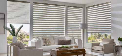 Better Blinds offers an exceptional Dual Roller Shades that are both practical and stylish. These shades are designed with two layers of fabric, one of which is opaque and the other is sheer
https://betterblinds.co/dual-roller/